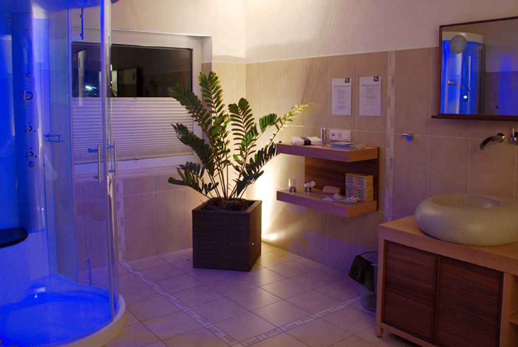 Wortmann_Heizung_Sanitaer_blaue_Dusche